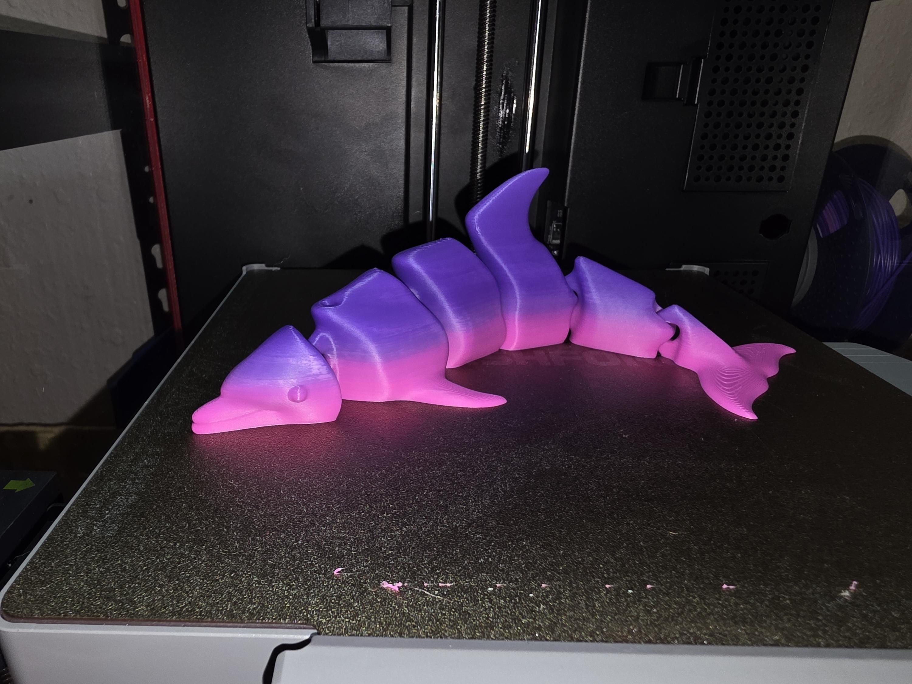 Large articulating dolphin