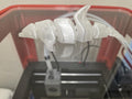 Small articulating dolphin
